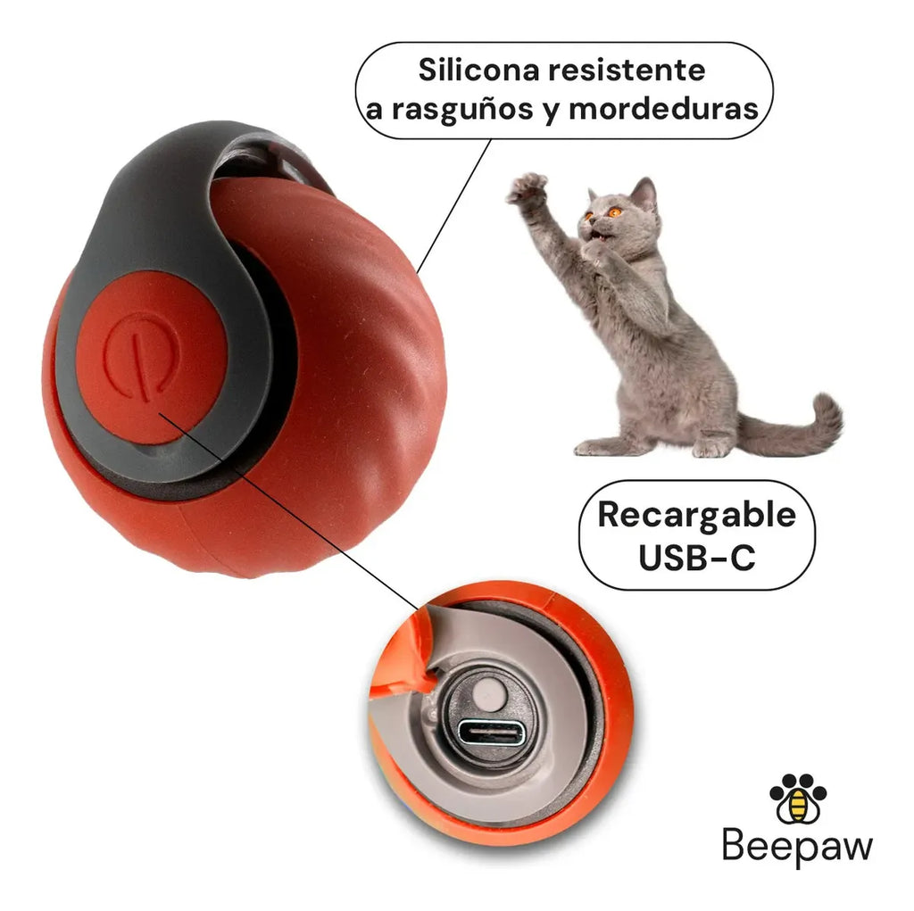 Kit Completo para Gatos - Cepillo de Vapor + Quitapelos Portátil + Pelota Interactiva de Regalo