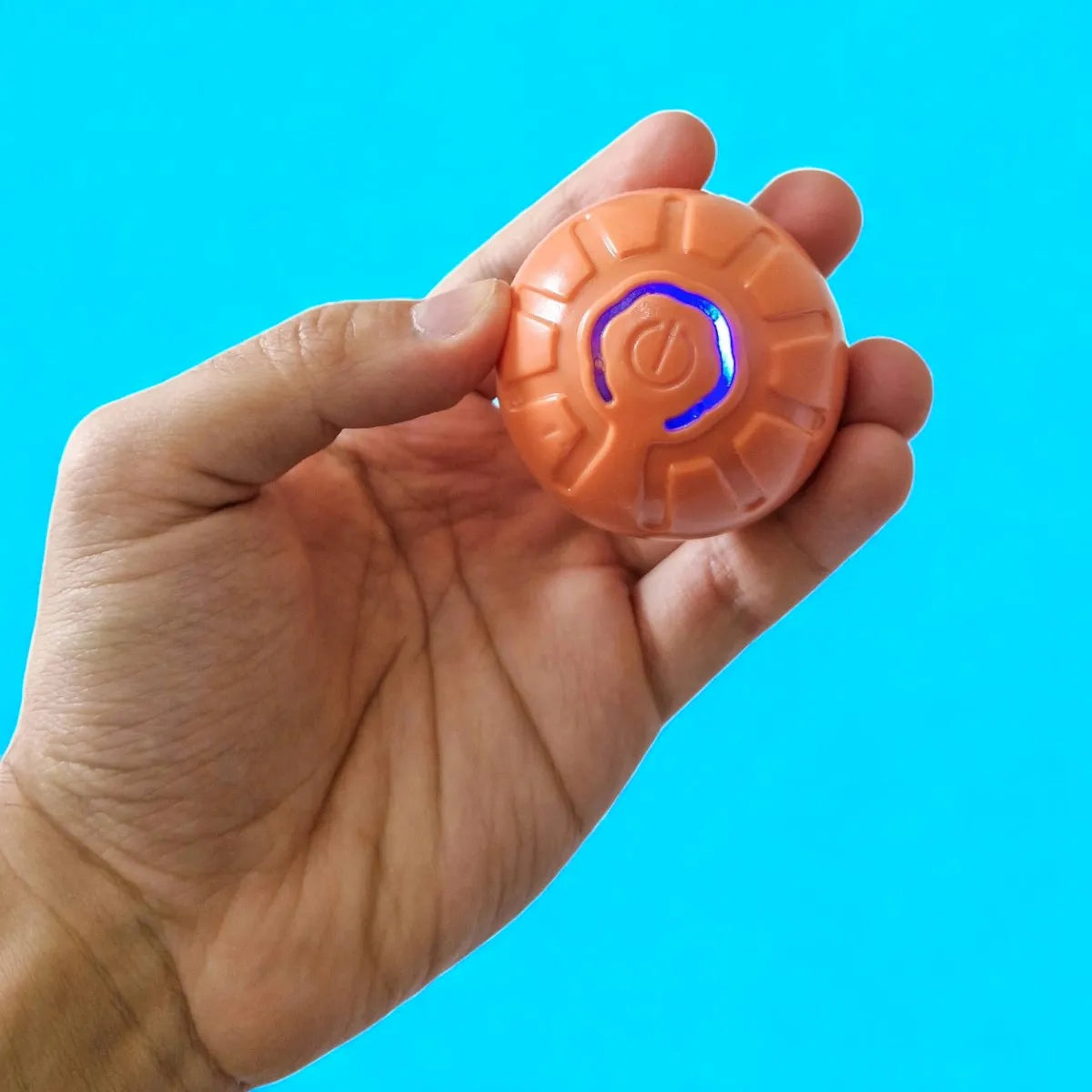Kit Completo para Mascotas - Cepillo de Vapor + Quitapelos + Pelota Saltarina de Regalo