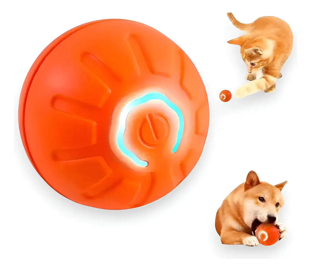Kit Completo para Mascotas - Cepillo de Vapor + Quitapelos + Pelota Saltarina de Regalo