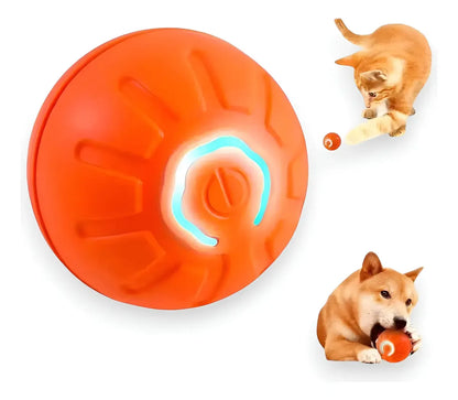 Kit Completo para Mascotas - Cepillo de Vapor + Quitapelos + Pelota Saltarina de Regalo