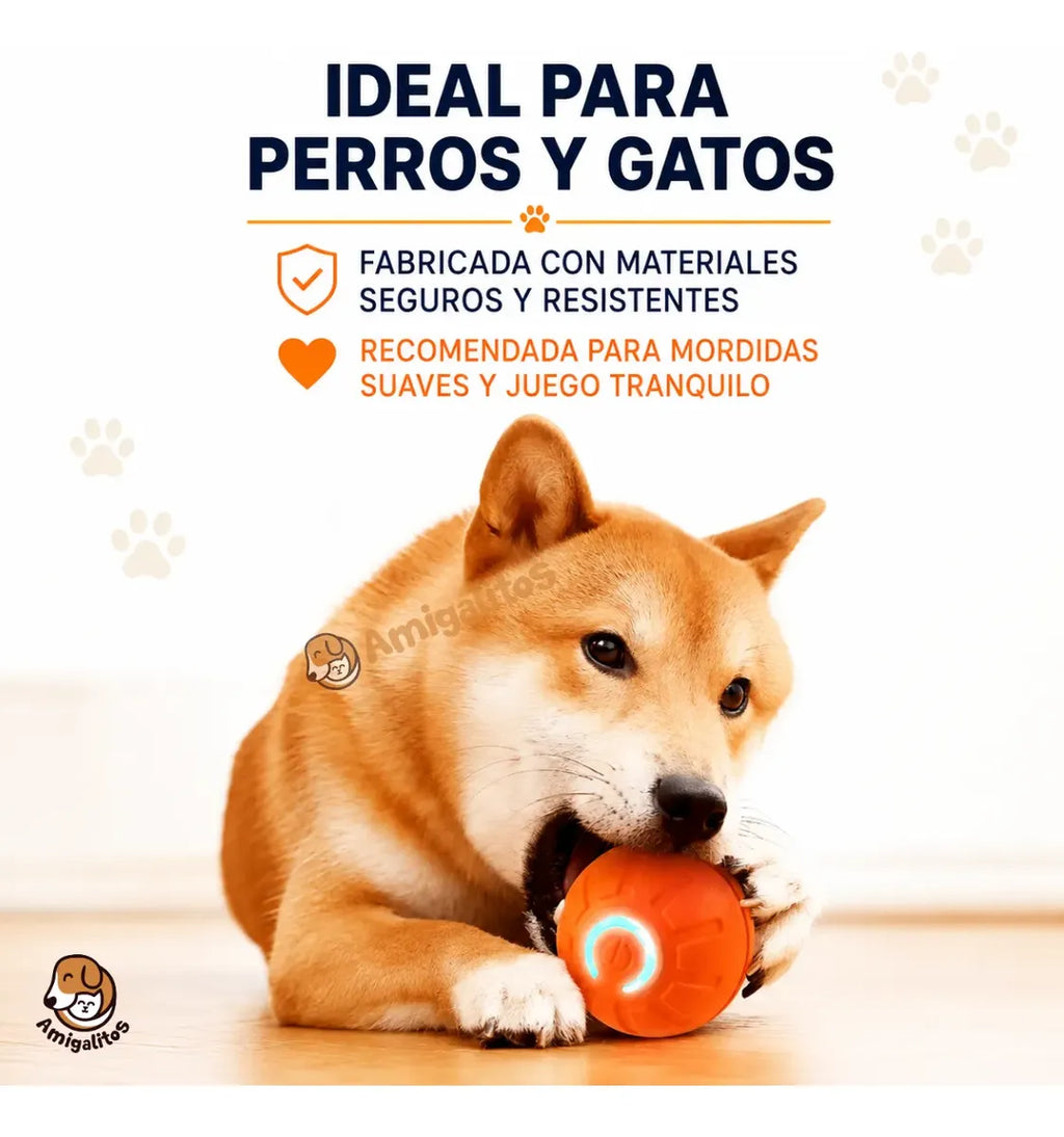 Kit Completo para Mascotas - Cepillo de Vapor + Quitapelos + Pelota Saltarina de Regalo