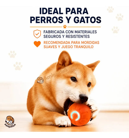 Kit Completo para Mascotas - Cepillo de Vapor + Quitapelos + Pelota Saltarina de Regalo