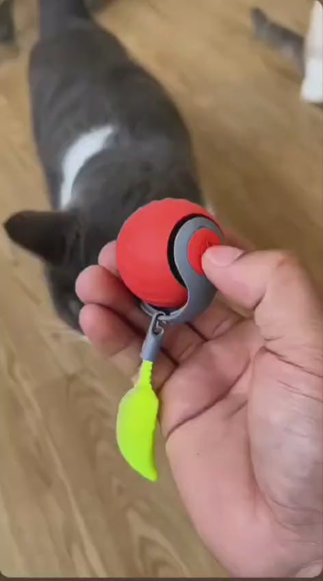 Kit Completo para Gatos - Cepillo de Vapor + Quitapelos Portátil + Pelota Interactiva de Regalo