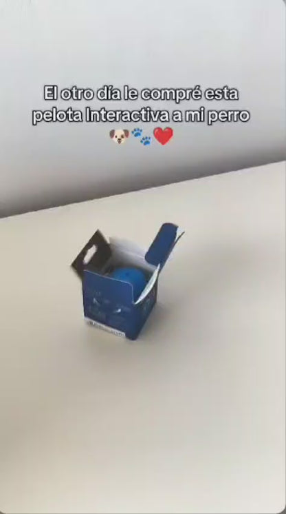 Kit Completo para Mascotas - Cepillo de Vapor + Quitapelos + Pelota Saltarina de Regalo